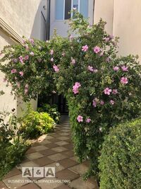 Общий вид гостиницы