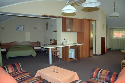 Фотография номера гостиницы Олимп