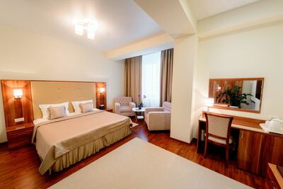 Фотография номера гостиницы Метрополис