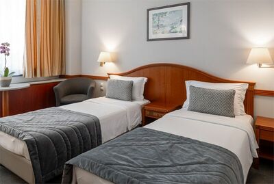 Фотография номера гостиницы Одиссея