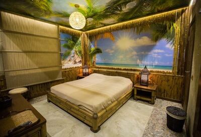 Фотография номера гостиницы Баккара