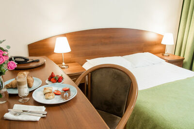 Фотография номера гостиницы Фореста Фестиваль Парк