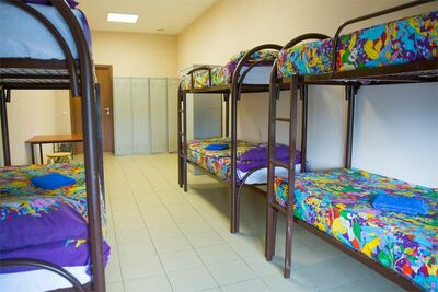 Фотография номера мини отеля Клевер