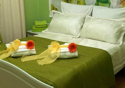 Фотография номера гостиницы Весна