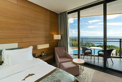 Фотография номера гостиницы Отель Мрия Резорт & СПА