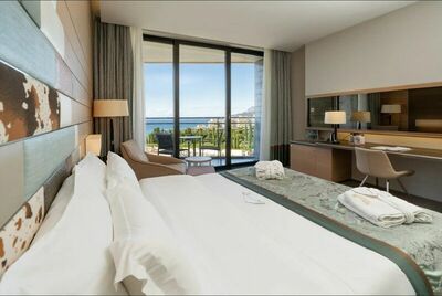 Фотография номера гостиницы Отель Мрия Резорт & СПА