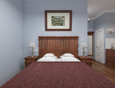 Фотография номера квартиры Апартаменты Богемия