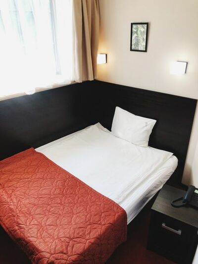 Фотография номера гостиницы Елоховский Сити