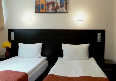 Фотография номера гостиницы Елоховский Сити