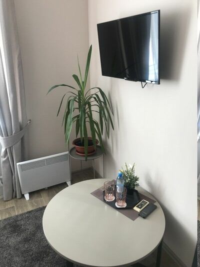 Фотография номера мини отеля Подкова на проспекте Культуры