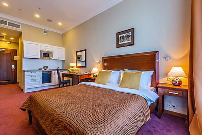 Фотография номера гостиницы Райкин Плаза