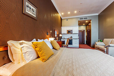 Фотография номера гостиницы Райкин Плаза