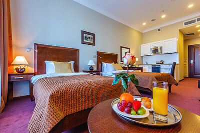 Фотография номера гостиницы Райкин Плаза