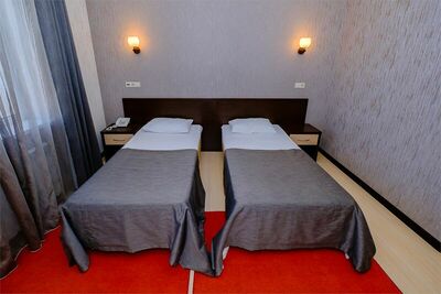 Фотография номера гостиницы Авангард