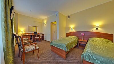 Фотография номера гостиницы Аэрополис