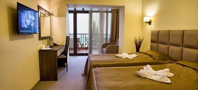 Фотография номера гостиницы Парк-отель Актер