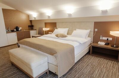 Фотография номера гостиницы Парк Отель Сова