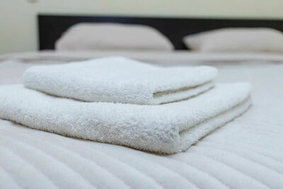 Фотография номера гостиницы Две берёзки