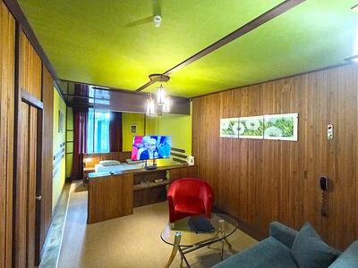 Фотография номера гостиницы Парк-Отель VE art resort