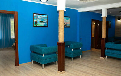 Фотография номера гостевого дома Деревня Светлица, дом 8