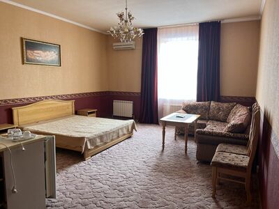 Фотография номера гостиницы Триумф