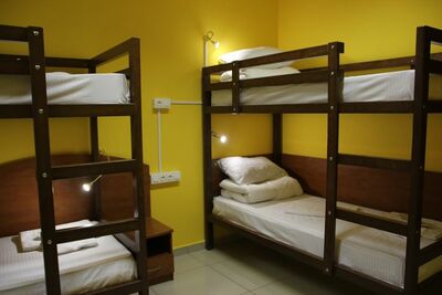 Фотография номера мини отеля Добрый кот