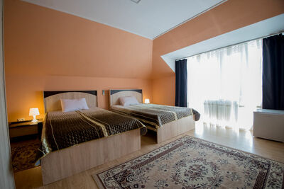 Фотография номера гостиницы Золотой лев