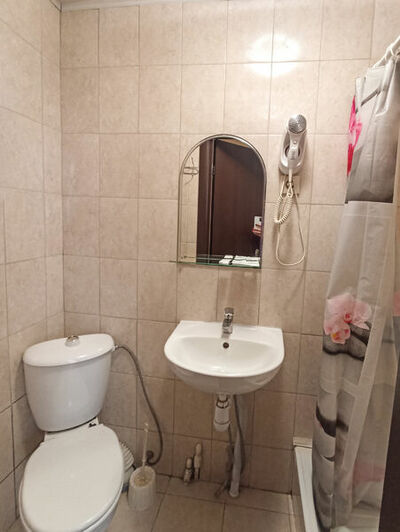 Фотография номера мини отеля Базилик