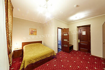 Фотография номера гостиницы Центральная