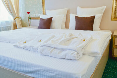 Фотография номера гостиницы Онегин