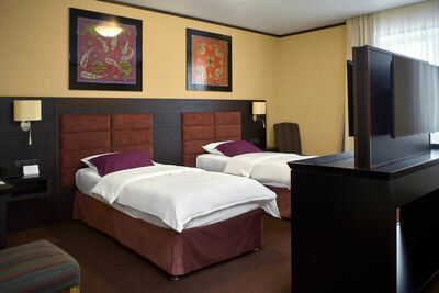 Фотография номера гостиницы Алтай Палас отель