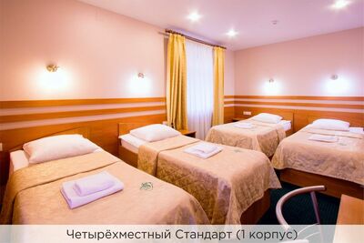 Фотография номера гостиницы Коломяжский Визит