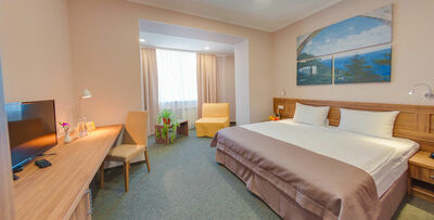 Фотография номера гостиницы Платов на Дубовского