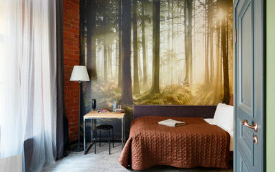 Фотография номера гостиницы Station Premier S10