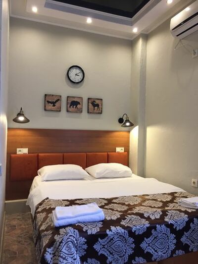 Фотография номера гостиницы Андорра