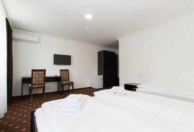 Фотография номера гостиницы Атрия