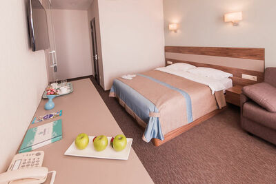 Фотография номера гостиницы Блюмарин