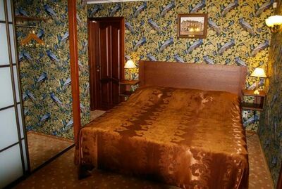 Фотография номера мини отеля Сибирский дом