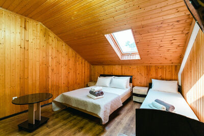 Фотография номера гостиницы Парк-Отель Папайя