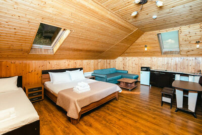 Фотография номера гостиницы Парк-Отель Папайя