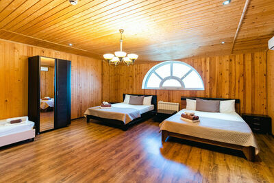 Фотография номера гостиницы Парк-Отель Папайя