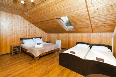 Фотография номера гостиницы Парк-Отель Папайя