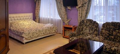 Фотография номера гостиницы Аэропорт Плаза