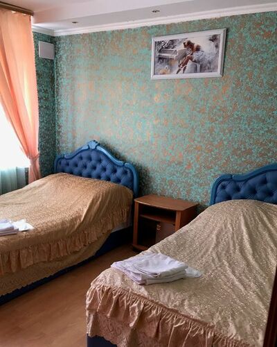 Фотография номера гостиницы Аэропорт Плаза