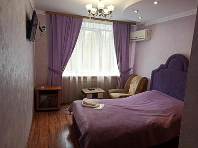 Фотография номера гостиницы Аэропорт Плаза