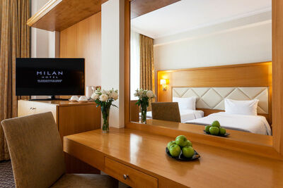 Фотография номера гостиницы Милан