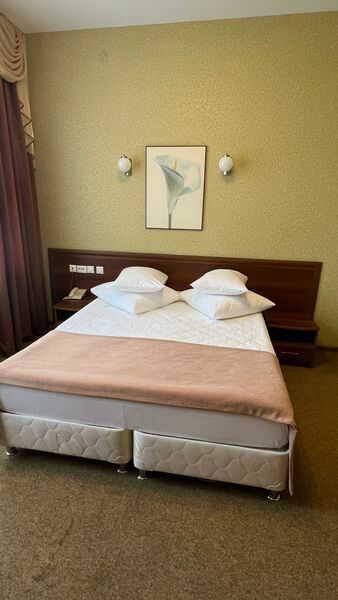 Фотография номера гостиницы Дмитриевская