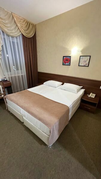 Фотография номера гостиницы Дмитриевская