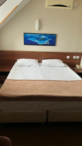 Фотография номера гостиницы Дмитриевская