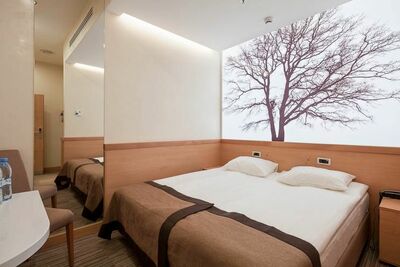 Фотография номера гостиницы Аэротель Экспресс